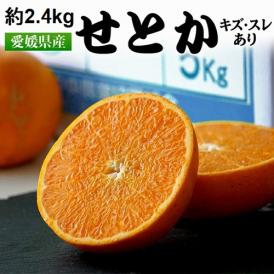 ご自宅用 せとか 愛媛県産 M～4L 約2.４kg 簡易箱 ※常温 送料無料 柑橘 多少の外皮の傷有り