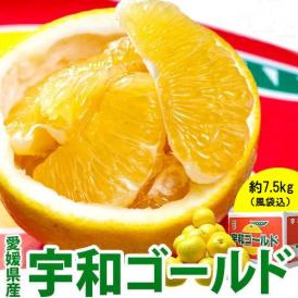 宇和ゴールド 愛媛県産 秀品 S〜2L 約7.5kg 産地箱 ※常温 送料無料 河内晩柑 柑橘
