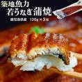 若うなぎの蒲焼 鹿児島県産 築地魚力 約120g×3尾 タレ・山椒付き ※冷凍 送料無料 うなぎ 鰻 蒲焼