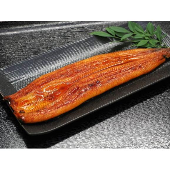 若うなぎの蒲焼 鹿児島県産 築地魚力 約120g&times;3尾 タレ・山椒付き ※冷凍 送料無料 うなぎ 鰻 蒲焼02