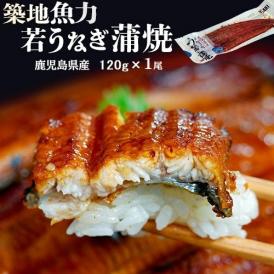 若うなぎの蒲焼 鹿児島県産 築地魚力 約120g 1尾 タレ・山椒付き ※冷凍 送料無料 うなぎ 鰻 蒲焼