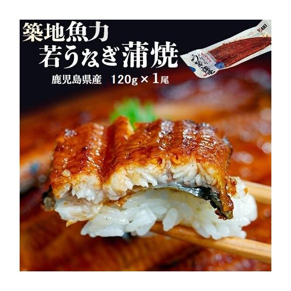 若うなぎの蒲焼 鹿児島県産 築地魚力 約120g 1尾 タレ・山椒付き ※冷凍 送料無料 うなぎ 鰻 蒲焼01