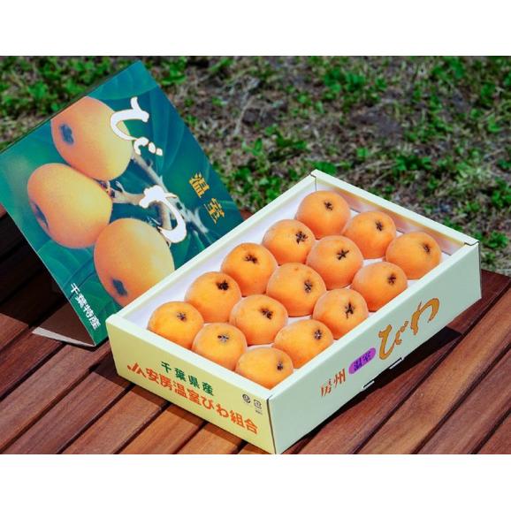 【カード・代引限定】特大 房州びわ 千葉県産 秀品 3〜4L 2箱(1箱:約1kg 12粒入)化粧箱 ※冷蔵 送料無料02