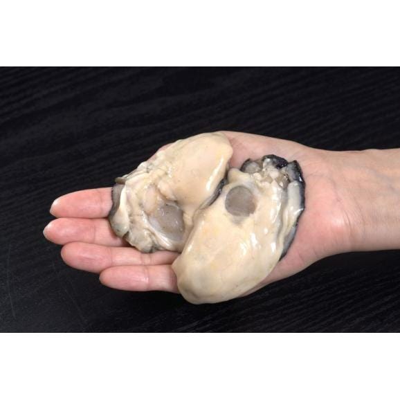 特大3L むき牡蠣 (加熱用)広島県産 約1kg (解凍後850g)21~30粒 ※冷凍02
