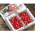 さくらんぼ（佐藤錦または紅秀峰） 山形県産 秀品 L〜2L 約1kg （約500g&times;2パック） バラ詰め 産地箱 ※冷蔵 送料無料