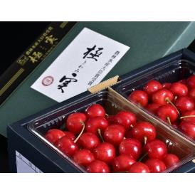 農林水産大臣賞受賞 大粒 極実さくらんぼ （品種：紅てまり） 山形県産 2～3Lサイズ 計700g（約350g×2P）化粧箱 ※冷蔵 送料無料