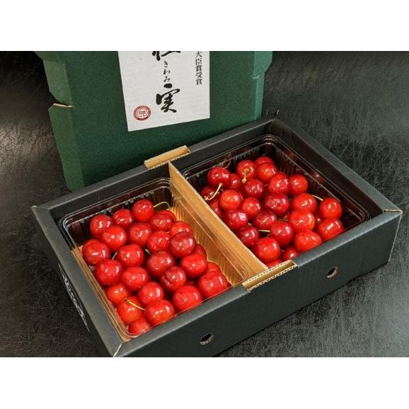 農林水産大臣賞受賞 大粒 極実さくらんぼ (品種:紅てまり) 山形県産 2~3Lサイズ 計700g(約350g×2P)化粧箱 ※冷蔵 送料無料02