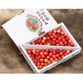 さくらんぼ （佐藤錦または紅秀峰） 秋田県産 秀～特秀 L～2L 約1kg バラ詰め 産地箱 JAこまち ※冷蔵 送料無料
