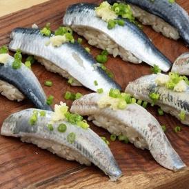 刺身用 とろ金華いわし フィーレ 宮城県産 500g（30枚前後）※冷凍