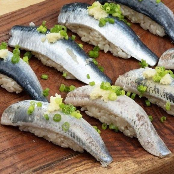 刺身用 とろ金華いわし フィーレ 宮城県産 500g（30枚前後）※冷凍01