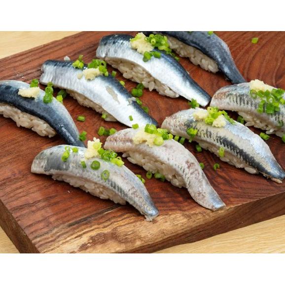 刺身用 とろ金華いわし フィーレ 宮城県産 500g（30枚前後）※冷凍02