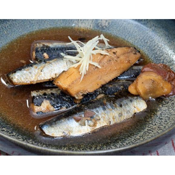 刺身用 とろ金華いわし フィーレ 宮城県産 500g（30枚前後）※冷凍03