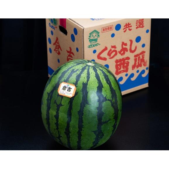倉吉すいか 鳥取県産 秀品 Lサイズ 1玉 約6kg 簡易箱 ※冷蔵 送料無料04