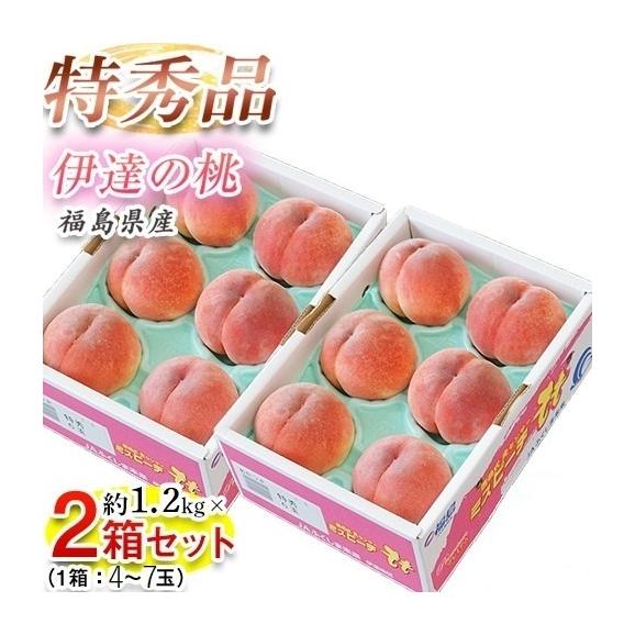 伊達の桃 ミスピーチ 福島県産 特秀品 約1.2kg&times;2箱 （1箱：4〜7玉） 産地箱 ※常温 JAふくしま未来 送料無料01