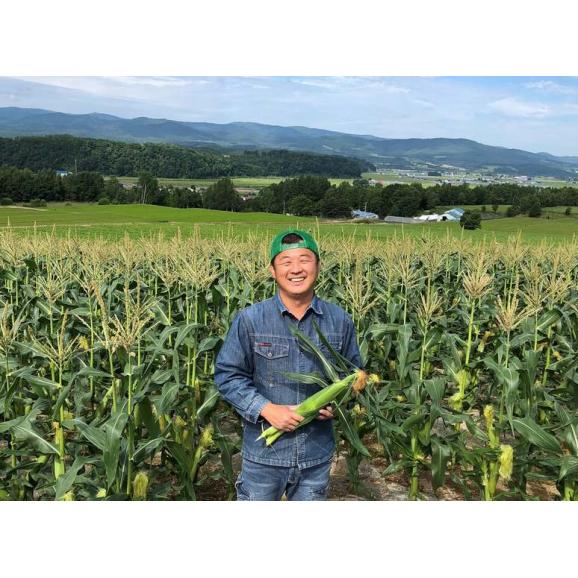 恵味 北海道産 平田農場のとうもろこし 10本入り （1本約350g前後）約3.5kg 産地箱 ※冷蔵 送料無料03