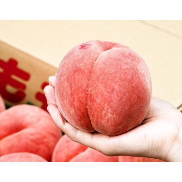 大玉桃 山形県産 特秀品 約5kg （13～16玉）産地箱 ※冷蔵 かための桃 白桃 送料無料02