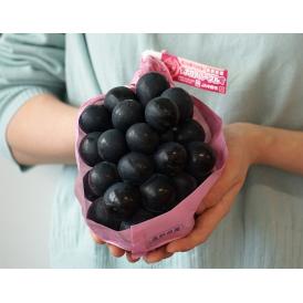 大房 ナガノパープル 長野県産 ぶどう 2房 計約1.2kg 簡易箱 ※冷蔵 送料無料