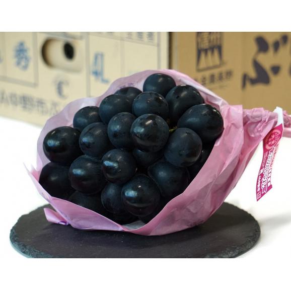 大房 ナガノパープル 長野県産 ぶどう 2房 計約1.2kg 簡易箱 ※冷蔵 送料無料03