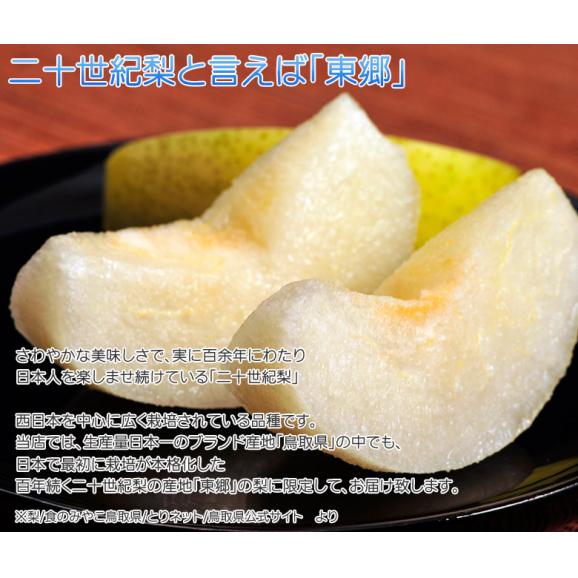 東郷選果場 二十世紀梨 鳥取県産 秀 約2.3kg(5~10玉)簡易箱 ※冷蔵 送料無料03