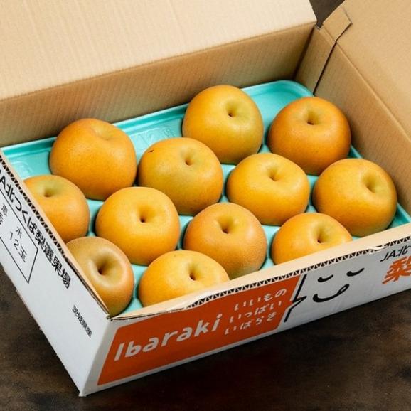 大玉 恵水梨 茨城県産 秀品 約5kg（8～12玉）産地箱 ※冷蔵 送料無料01