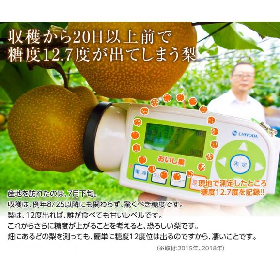 大玉「彩玉梨（さいぎょくなし）」埼玉県産 約5kg（5～12玉）産地箱 ※冷蔵　 送料無料03