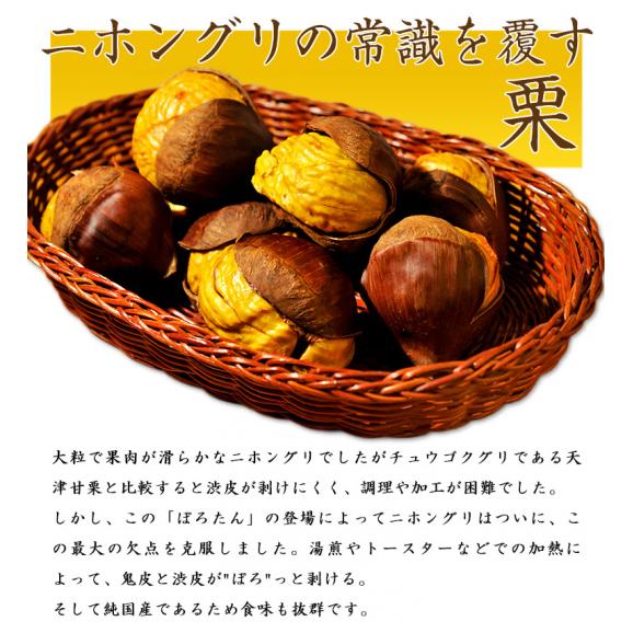 大粒 ぽろたん栗 茨城県笠間産 2~3L 約1kg 簡易箱 ※冷蔵 送料無料02