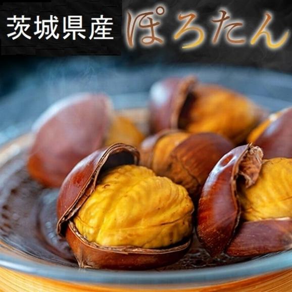 大粒 ぽろたん栗 茨城県笠間産 2~3L 約2kg 簡易箱 ※冷蔵 送料無料01