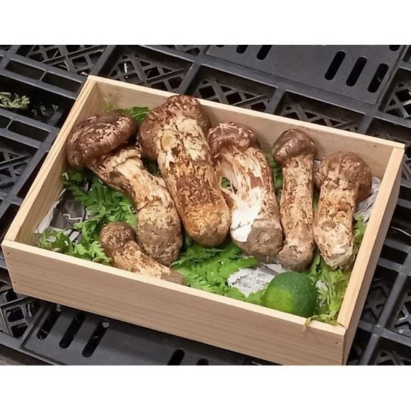 国産「訳あり松茸」 岩手・長野県他 約200g （目安：2～10本）すだち付 ※冷蔵 送料無料01