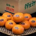 ご自宅用 輝太郎柿 鳥取県産 優品 約2.8kg（6～12玉）簡易箱 多少のキズ有 ※常温 送料無料