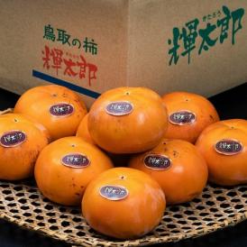 ご自宅用 輝太郎柿 鳥取県産 優品 約2.8kg（6～12玉）簡易箱 多少のキズ有 ※常温 送料無料