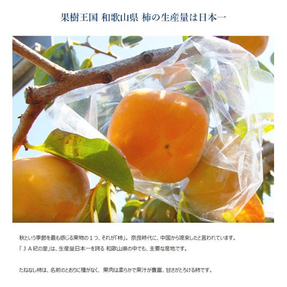 たねなし柿　和歌山産　JA紀の里　秀品　約2kg×2箱 (1箱：10～12玉入) ※常温 送料無料04