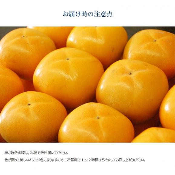 たねなし柿　和歌山産　JA紀の里　秀品　約2kg×2箱 (1箱：10～12玉入) ※常温 送料無料06