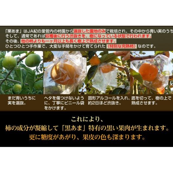 紀の川柿 黒あま 2L～4L 秀品　約3.6kg（12～15玉）産地箱 和歌山県　JA紀の里 ※常温　送料無料03