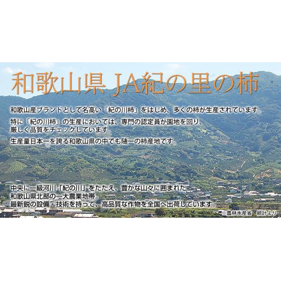 紀の川柿 黒あま 2L～4L 秀品　約3.6kg（12～15玉）産地箱 和歌山県　JA紀の里 ※常温　送料無料04