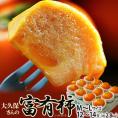 大久保さんの『富有柿』 山梨県石和町産 秀品 M～Lサイズ 約2.8kg (12～14玉入) ※常温 送料無料
