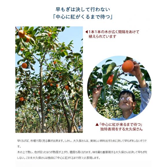 大久保さんの『富有柿』 山梨県石和町産 秀品 M～Lサイズ 約2.8kg (12～14玉入) ※常温 送料無料05