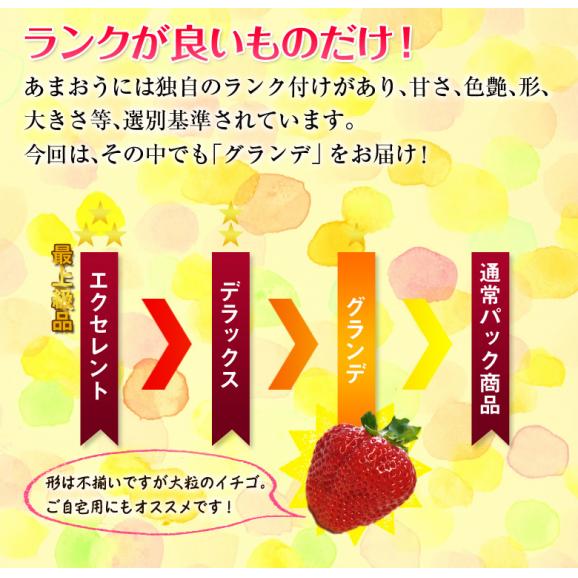 『あまおういちご』 福岡・八女産 グランデ 約270g×2パック ※冷蔵　送料無料02