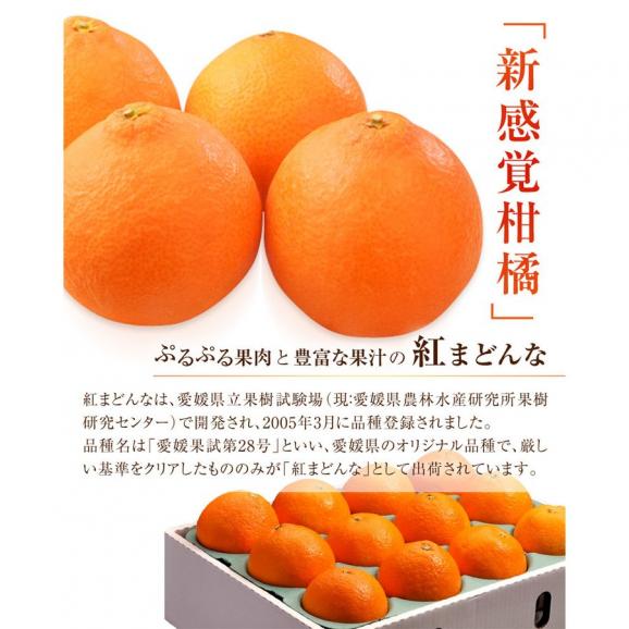 『紅まどんな』愛媛県産 化粧箱 L～3Ｌ 約3kg（10～15玉） ※常温 送料無料05