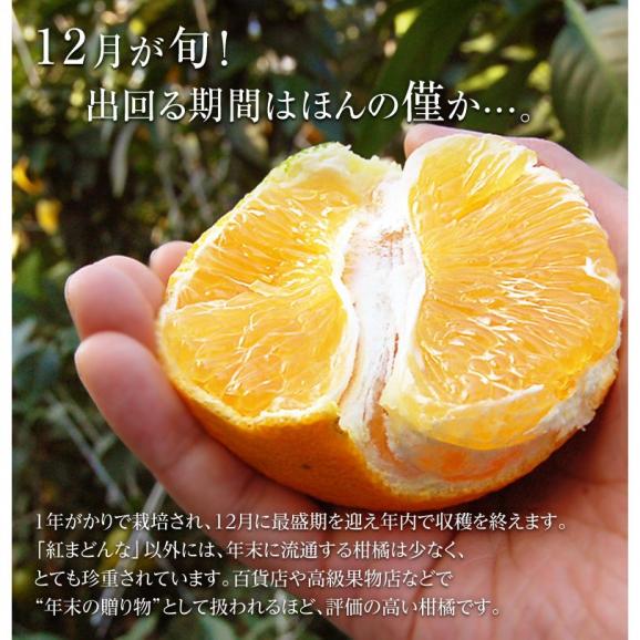 『紅まどんな』愛媛県産 化粧箱 L～3Ｌ 約3kg（10～15玉） ※常温 送料無料06