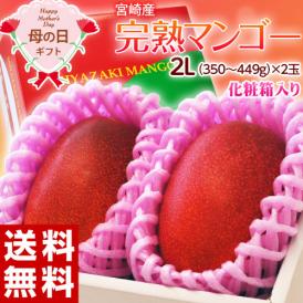母の日 2022 宮崎県産 完熟マンゴー 2Lサイズ（350～449g） 2玉 カーネーション（造花）・メッセージカード付 化粧箱入 送料無料 常温