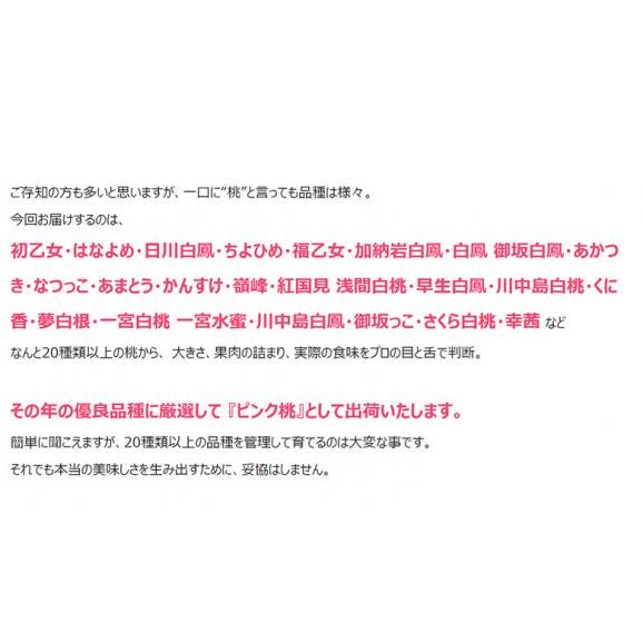 御所の桃 ≪ピンク桃≫ 山梨県産 1箱 約1.5kg(目安として5～8玉) 産地箱 ※常温 送料無料05