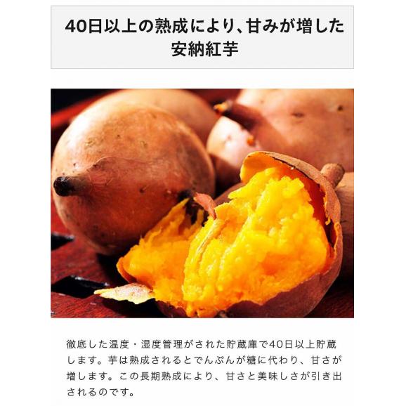 長期熟成 安納紅芋 鹿児島県 種子島産 さつまいも 正規品 約2kg ※常温 送料無料02