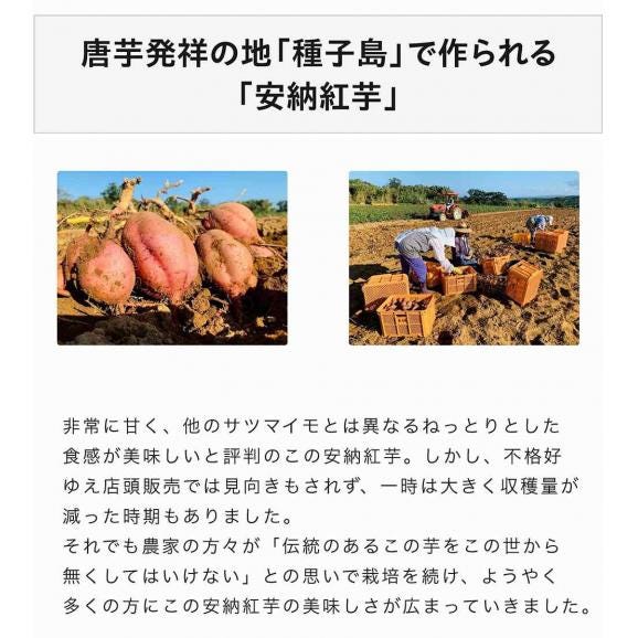 長期熟成 安納紅芋 鹿児島県 種子島産 さつまいも 正規品 約2kg ※常温 送料無料04