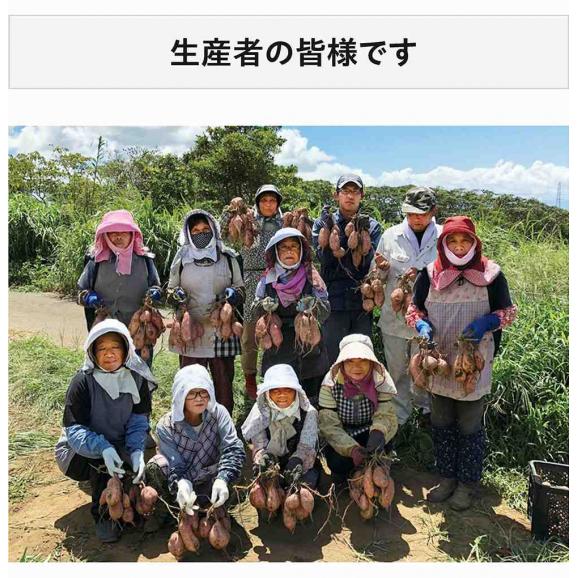 長期熟成 安納紅芋 鹿児島県 種子島産 さつまいも 正規品 約2kg ※常温 送料無料05