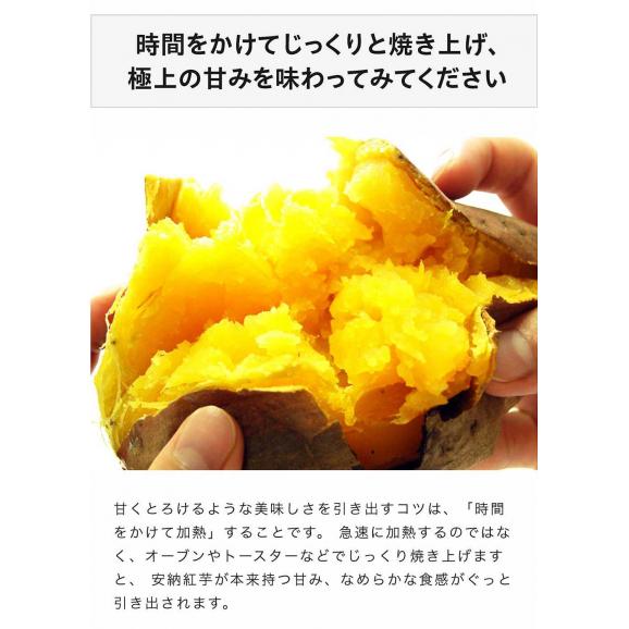 長期熟成 安納紅芋 鹿児島県 種子島産 さつまいも 正規品 約2kg ※常温 送料無料06
