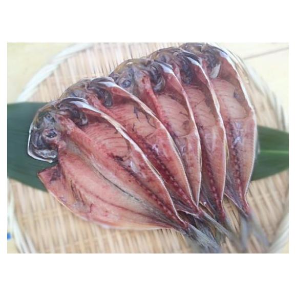 築地だより【天然】超辛口紅鮭と干物のファミリーセット03