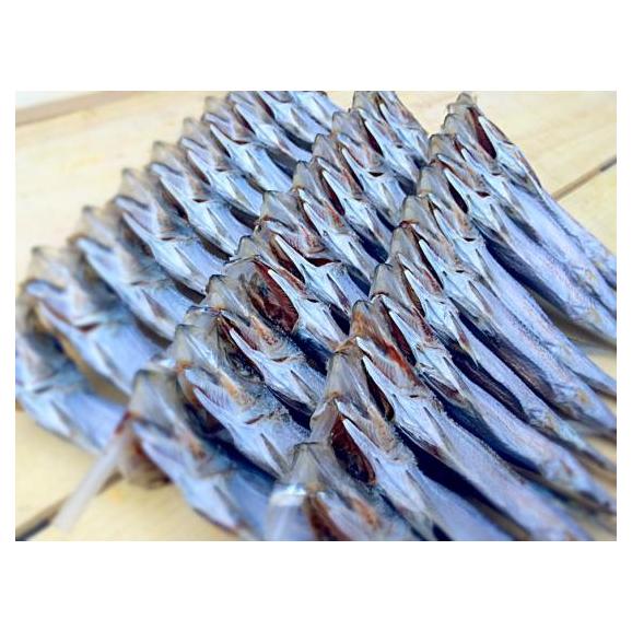 築地だより【天然】超辛口紅鮭と干物のファミリーセット06
