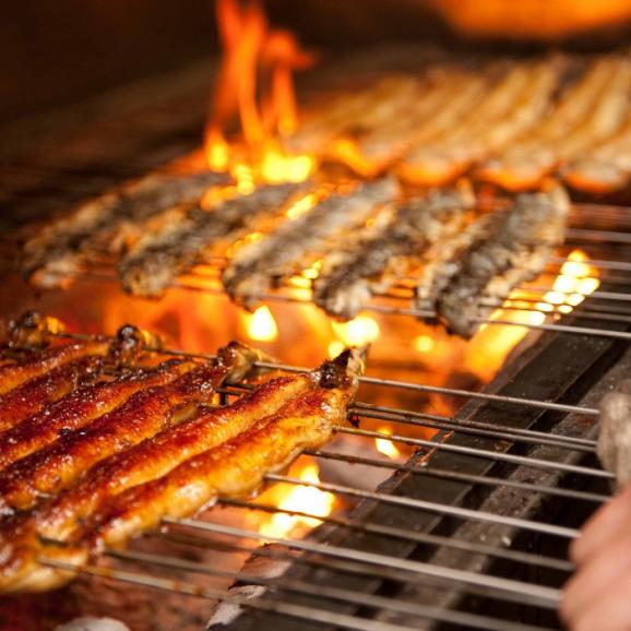 【全国送料無料】嬉しい600g！国産うなぎ蒲焼“きざみ”(12食セット)04