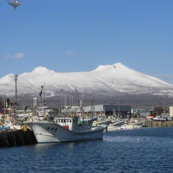 【全国送料無料】_北海道鹿部町噴火湾_ベビーホタテのたっぷり3㎏04