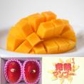 【送料無料_直前割引】宮崎県産_”自然落下するまでトロトロに甘く樹上完熟させた”マンゴー（アーウィン種）2個（約1kg）